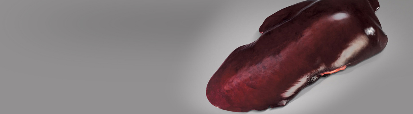 Hacıdan Et ve Et Ürünleri CORPORATE